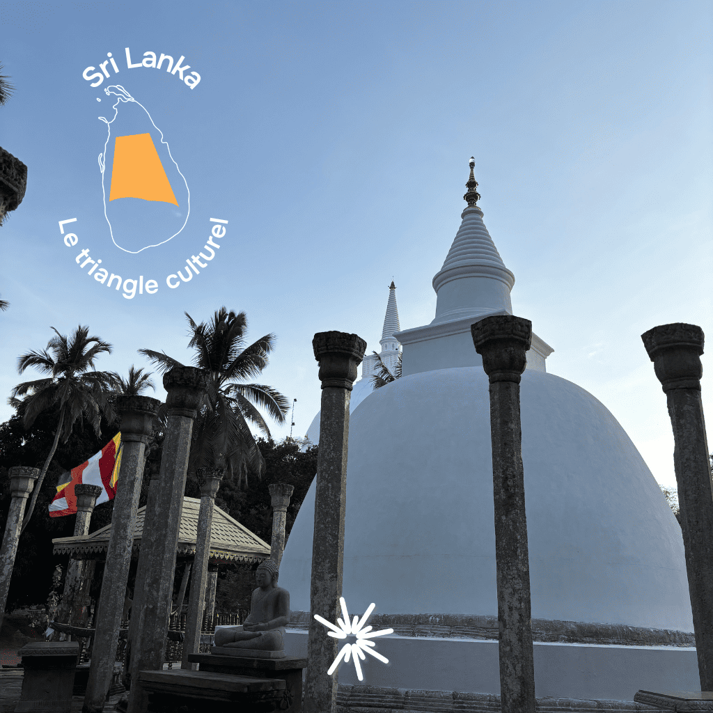 Soleva_Triangle Culturel