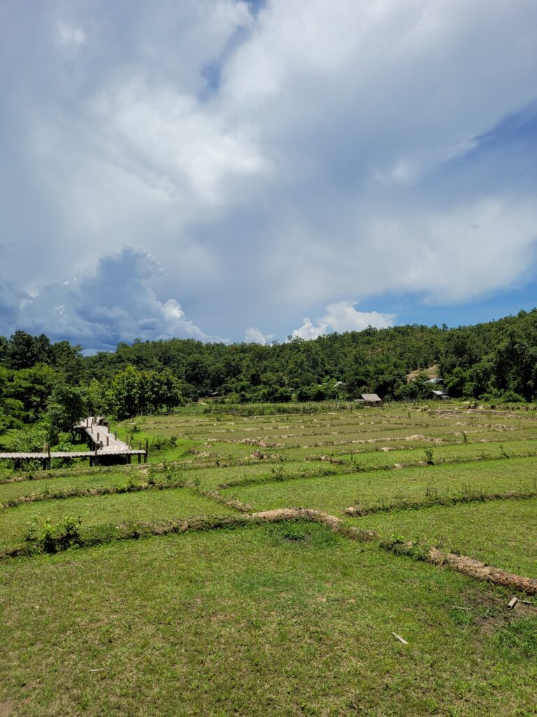 Nord_Thaïlande_Nature